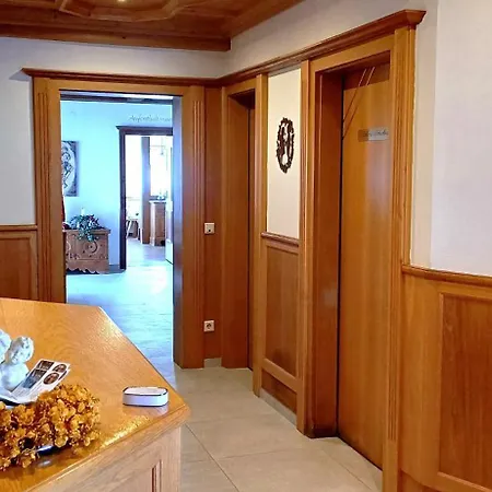 Dachsteinblick פלאכאו