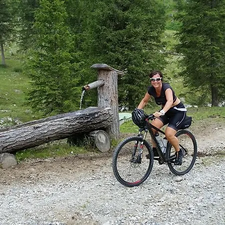 Dachsteinblick Ξενοδοχείο με διαμερίσματα Φλαχάου