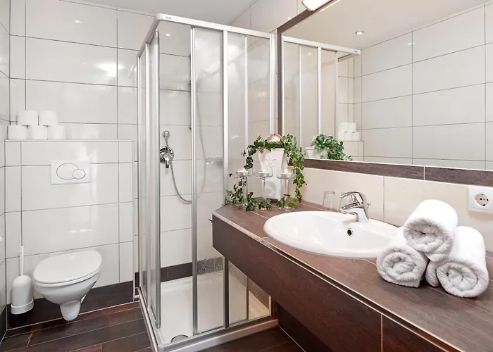 Dachsteinblick 4* 弗拉绍