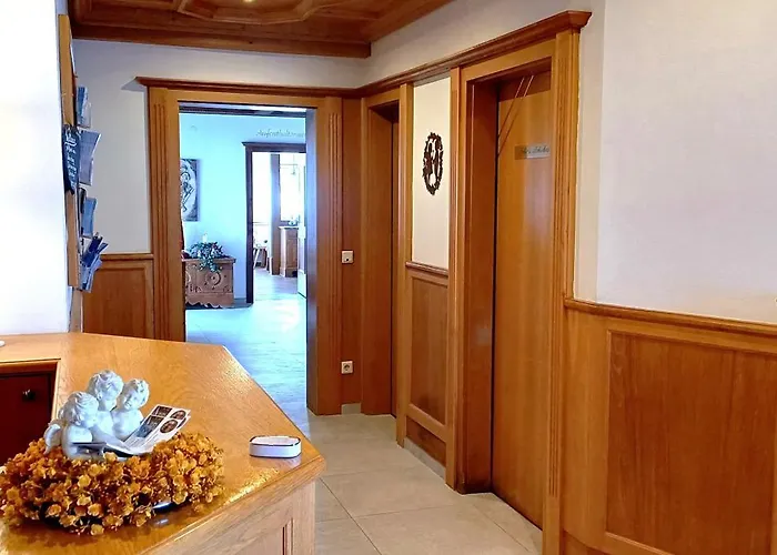 Dachsteinblick 弗拉绍