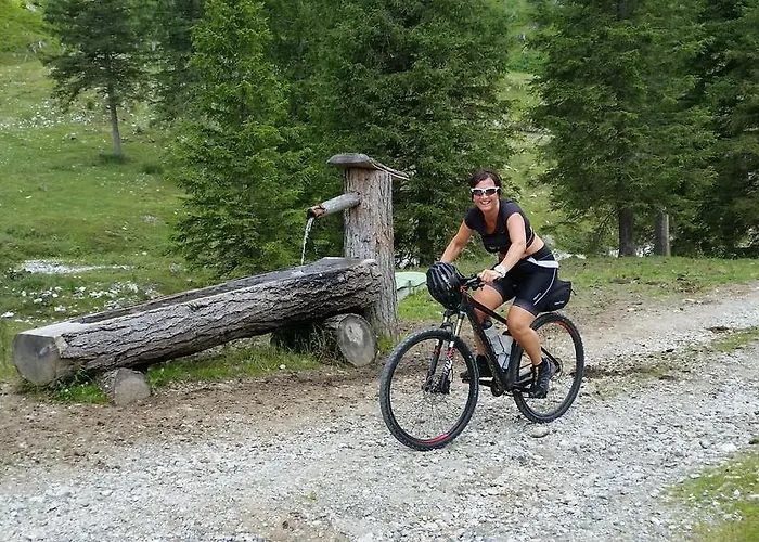 Dachsteinblick Aparthotel Flachau